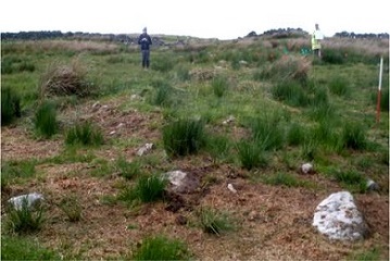 Ravenshaugh cup marked stone