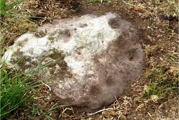 cairn field cup marked stone